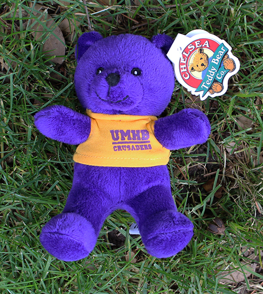 5" Chelsea Purple Bear