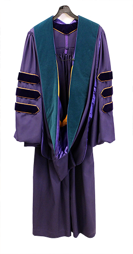 Purchase Doctor of Physical Therapy Hood (SKU 1031656663)