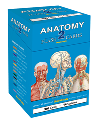 Anatomy 2 Flash Cards Quick Study