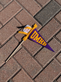 Pennant On A Stick