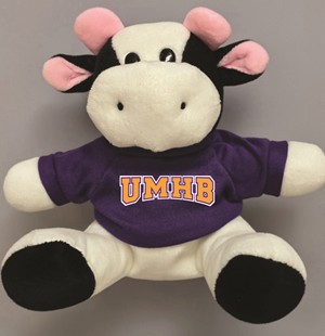 Pennington Cow - main view