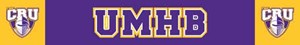 SC Arm-Span Banner - main view