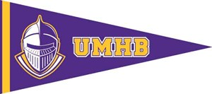 SC Mini Pennants - main view