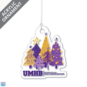 SDS Corporate Logo Acrylic Ornament - main view
