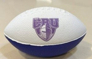 UMHB Small Football - main view